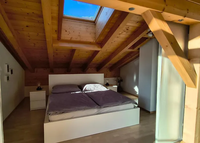 Hohenwerfen 公寓 *